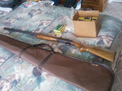 20 gauge Boito.jpg