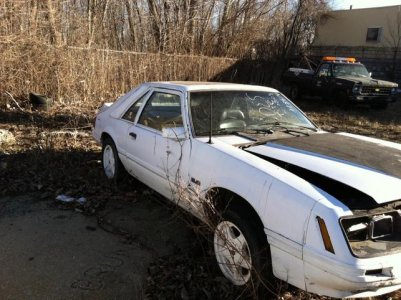 my new car 2.jpg