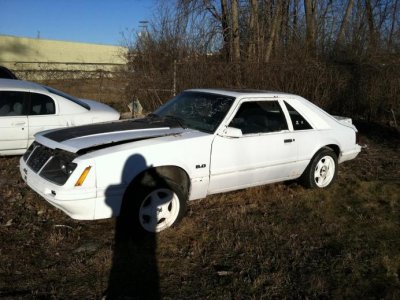 my new car.jpg