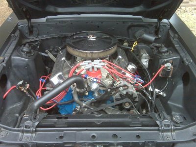 IMG00312.jpg