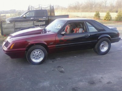 Mustang 5.jpg
