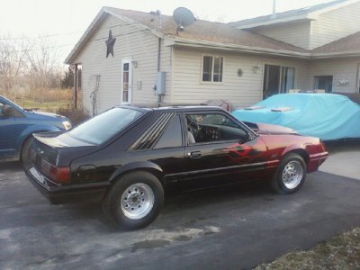 Mustang 3.jpg
