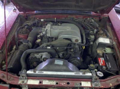 2011-04-16_14-19-44_440.jpg