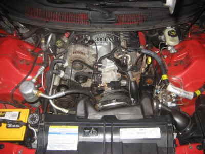 IMG_8567.jpg IMG_8567.jpg