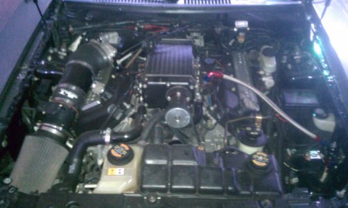 IMAG0119.jpg