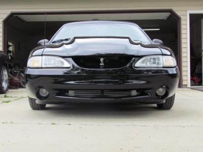 cobra 003.jpg