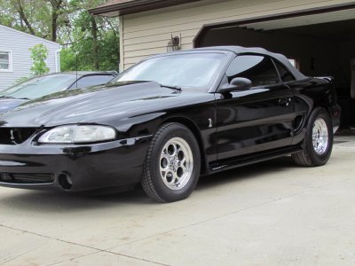 cobra 002.jpg