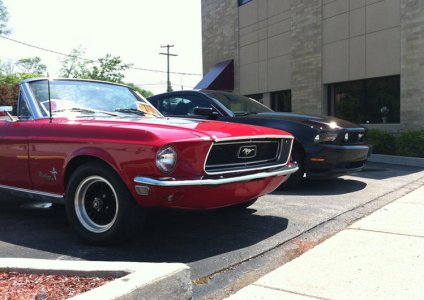 mustangs-04.jpg