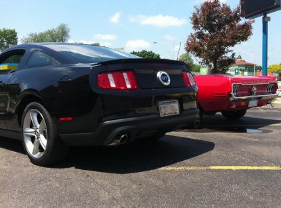 mustangs-05.jpg