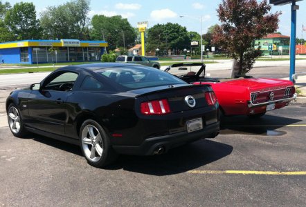 mustangs-06.jpg