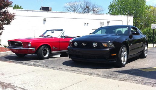 mustangs-02.jpg
