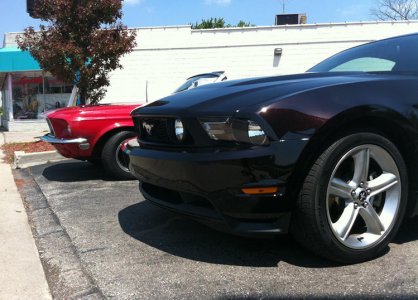 mustangs-03.jpg