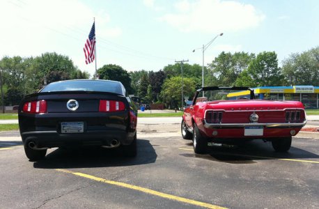 mustangs-07.jpg