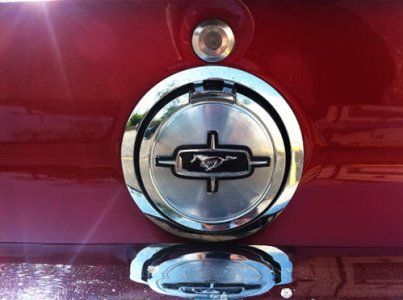 mustangs-08.jpg