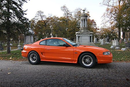 ORANGE PROFILE.jpg
