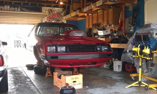 mustang2.jpg