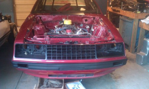 mustang5.jpg