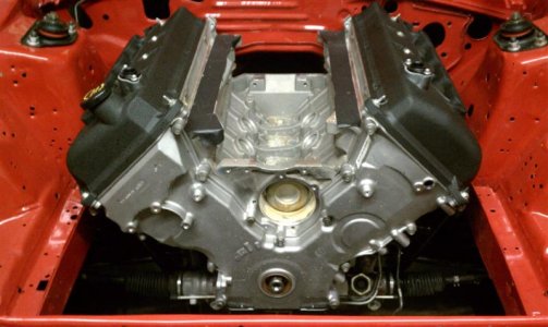 IMAG0540 (Medium).jpg