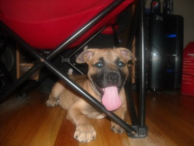 under chair close.jpg