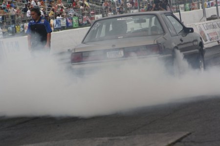 283298_189038024488927_100001481921215_506394_6636152_n.jpg