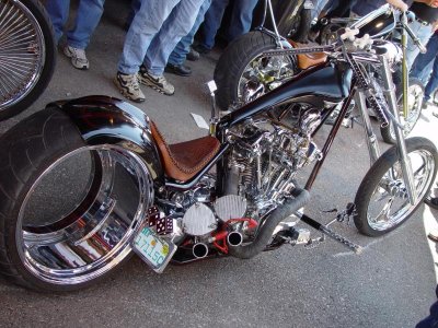 cicadilacbike.jpg