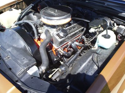 79malibu.3.JPG