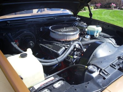 79malibu.6.JPG