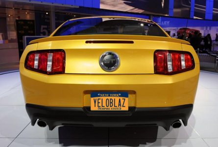 74769d1272309181-yellow-blaze-outside-sunlight-yeloblaz.jpg