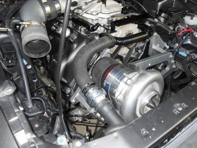 SDC10506.jpg
