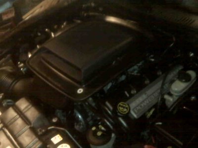 IMG00109.jpg