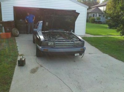 car 009.jpg