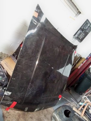 100_0279sm.jpg