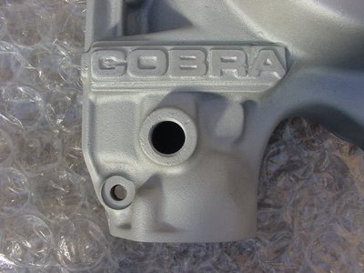 Cobra_Front.JPG
