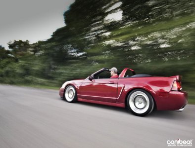 bagged_Cobra_17-900x686.jpg