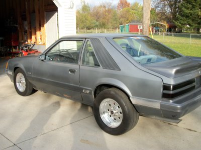 mustang 005.jpg