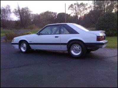 stang.jpg
