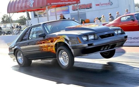 Mustang NoEt.jpg