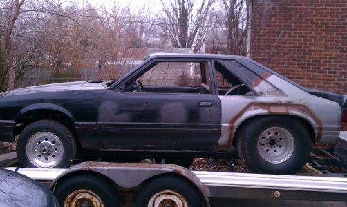stang one.jpg stang one.jpg
