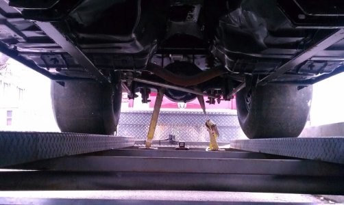 stang bottom.jpg stang bottom.jpg