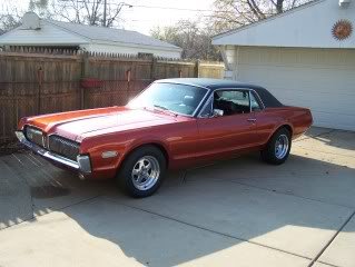 cougar2.jpg cougar2.jpg