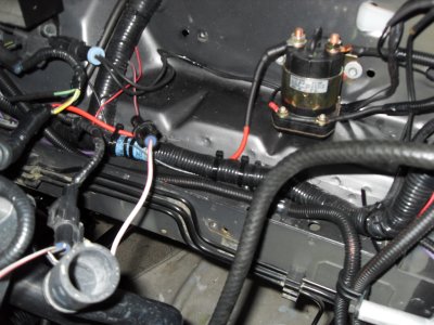SDC10604.JPG