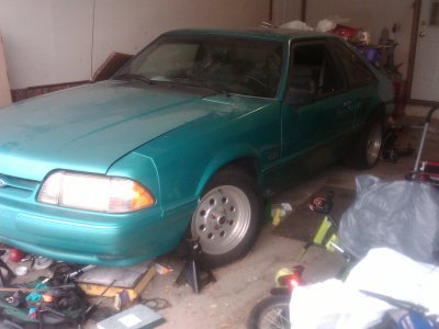 DennisCar1.jpg