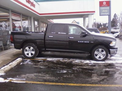 2011 Ram.jpg