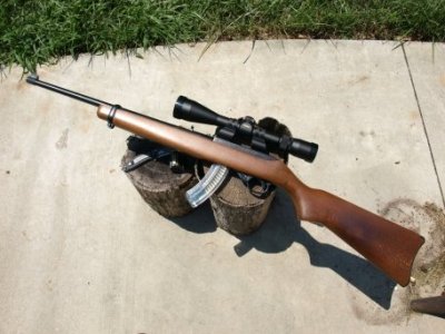 ruger-10-22-scoped.jpg
