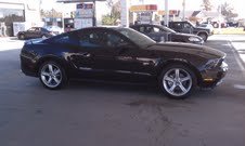 stang1.jpg