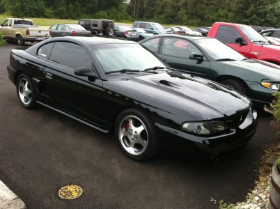 MustangPics62911041-1.jpg