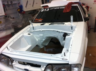 stang 006.jpg