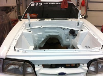 stang 002.jpg
