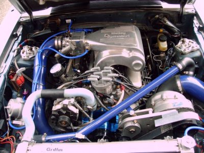 IMAG0008.JPG