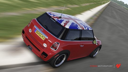 Forza29-vi.jpg